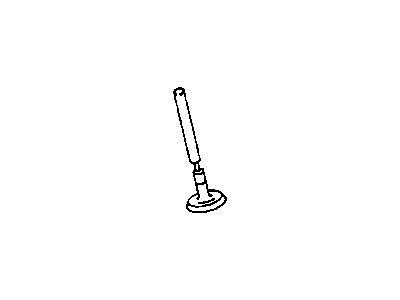 Valve, Intake