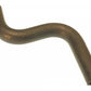 Hose, Heater Supply