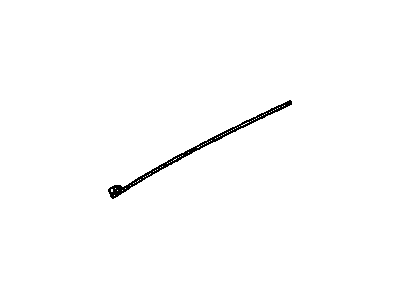 Arm