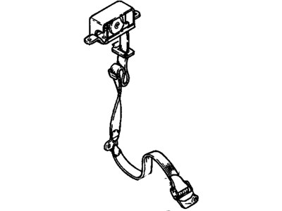 Belt Kit