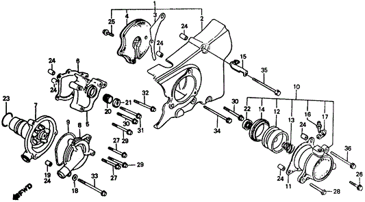 Cover, Water Pump