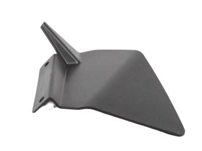 Seal Radiator Side Air Lower