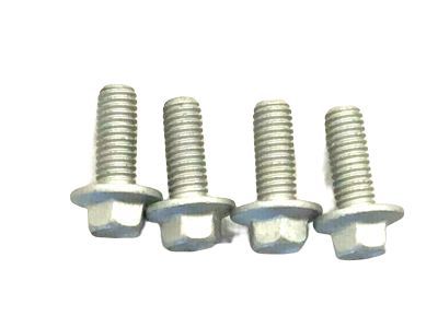 Inlet Duct Screw