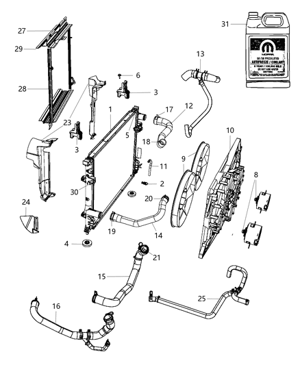 Seal Radiator Side Air Lower