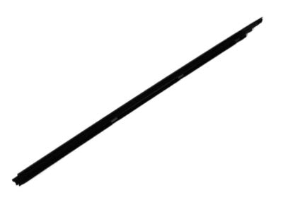 Molding Front Door Belt