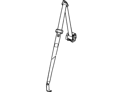 Belt Kit