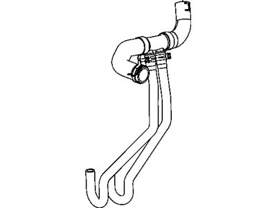 Hose Radiator Inlet