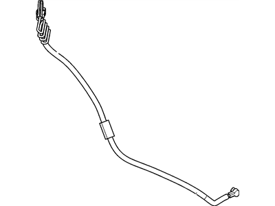 Cord