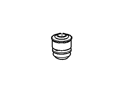 Bumper, Shock Absorber/Strut