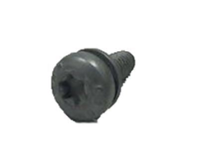 Latch Screw
