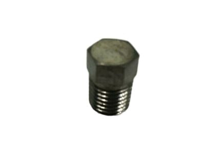 Plug Pipe Refer To Tsb 09-002-09 Revision A