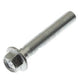 Starter Mount Bolt