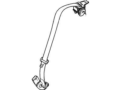 Belt And Buckle Assy