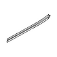 Weatherstrip Rear Door Belt