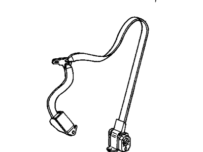 Belt Kit