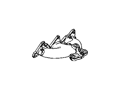 Manifold
