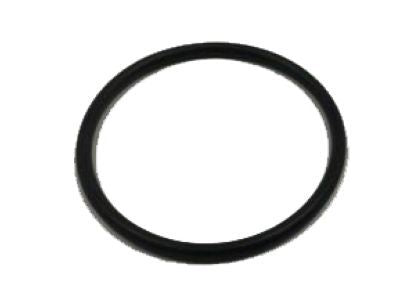 Thermostat Gasket