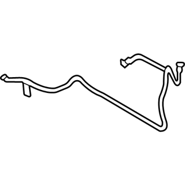 Lower Hose