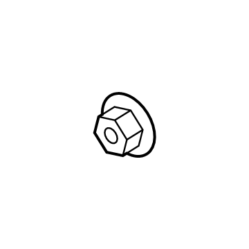 Front Shield Nut