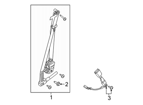 Seat Belt Assembly