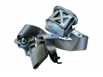 Seat Belt Assy