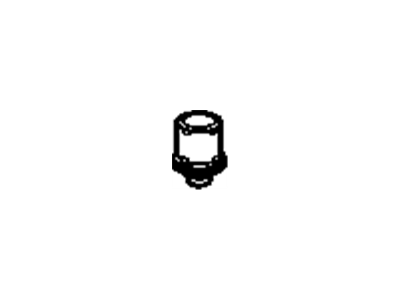 Filter, Air Suspension Compressor Tank