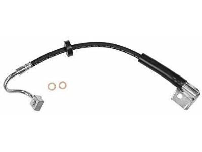 Hose Assy - Brake