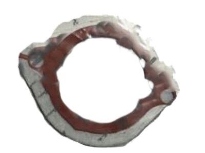 Gasket, Aspirator Tube
