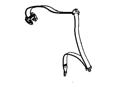 Belt Kit