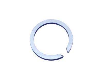 Snap Ring