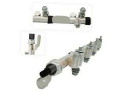 Rail, Fuel Injection