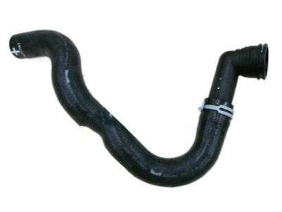 Hose