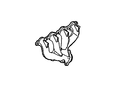 Manifold