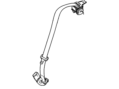 Belt And Buckle Assy