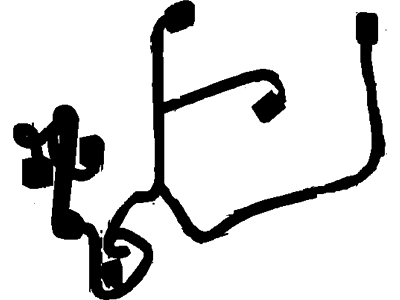 Socket And Wire Assy - Lamp