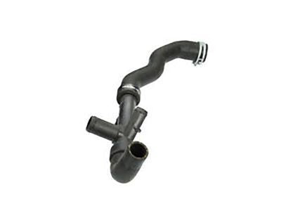 Hose - Radiator