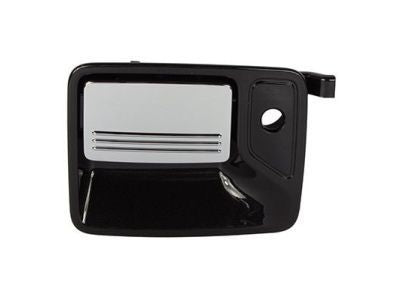 Handle Assy - Door - Outer