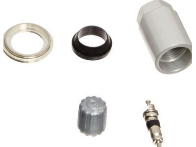 Valve Kit, Tire Valve And Cover Lock