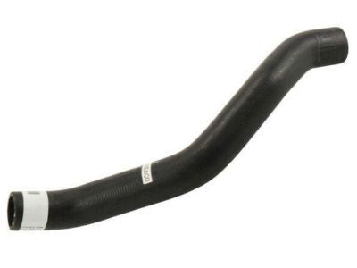 Hose