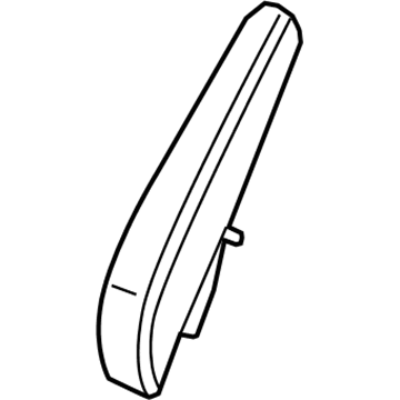 Module - Air Bag