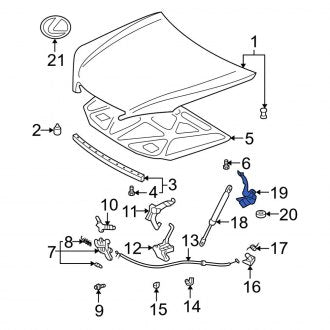 New OEM Front Right Hood Hinge Fits, 2002-2006 Lexus ES - Part # 5341033150