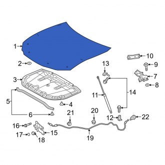 New OEM Front Hood Panel Fits, 2019-2024 Lexus ES - Part # 5330106390