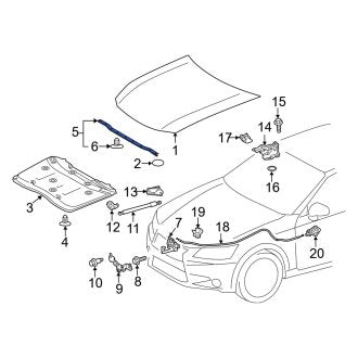 New OEM Front Hood Seal Fits, 2016-2020 Lexus GS - Part # 5311930320