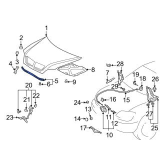 New OEM Front Hood Seal Fits, 2004-2008 Lexus RX - Part # 5338148031