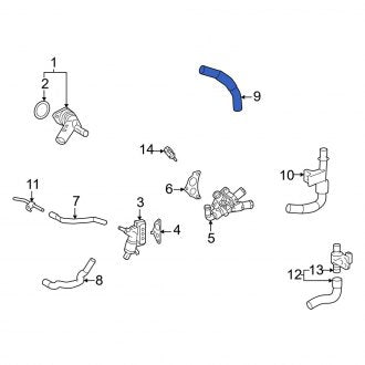 New OEM Engine Coolant Bypass Hose Fits, 2019-2024 Lexus ES - Part # 1629525010