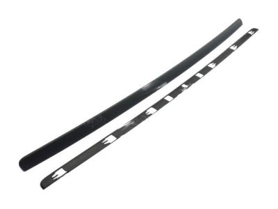 Moulding - Front Body Panel