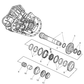 Gear Fifth