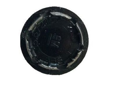 Plug, Door Trim/Access