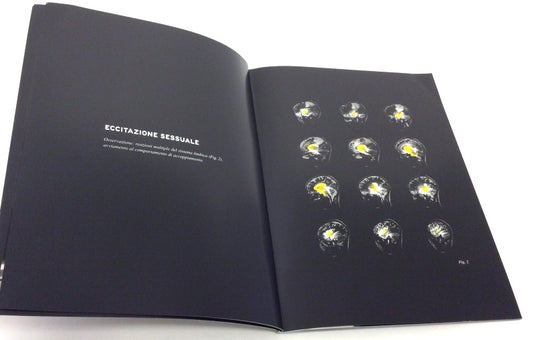 New OEM 2008 Lamborghini Gallardo New Car Publication (Mini) Brochure English