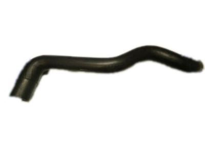 Hose, Radiator Outlet (Lower)